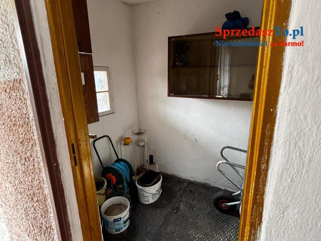 Działka rekreacyjna ROD NOWICKI-STORCZYK - 7