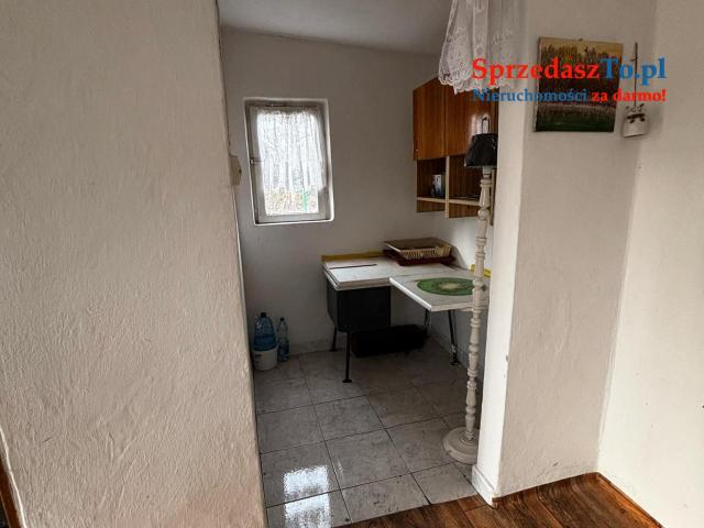 Działka rekreacyjna ROD NOWICKI-STORCZYK - 8