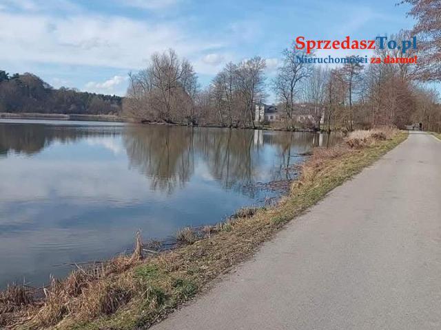 Sprzedam bezpośrednio siedlisko z budynkami gospodarczymi oraz piękna działka.