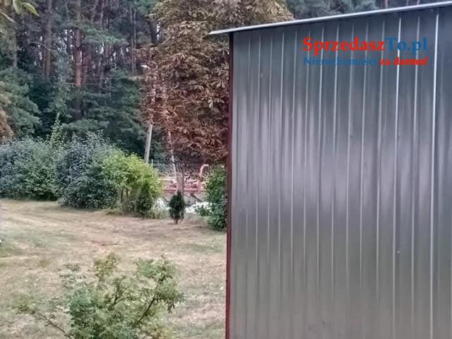 Sprzedam bezpośrednio siedlisko z budynkami gospodarczymi oraz piękna działka.
