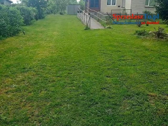 Sprzedam bezpośrednio siedlisko z budynkami gospodarczymi oraz piękna działka. - 10