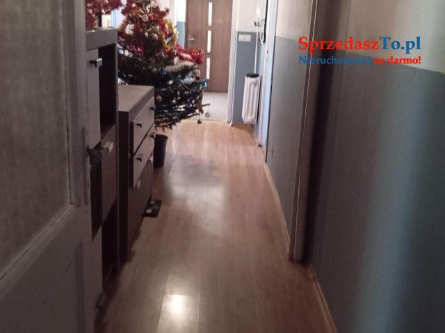 Sprzedam bezpośrednio siedlisko z budynkami gospodarczymi oraz piękna działka. - 12