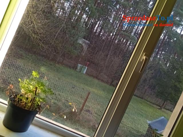 Sprzedam bezpośrednio siedlisko z budynkami gospodarczymi oraz piękna działka. - 13