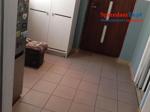 Sprzedam bezpośrednio siedlisko z budynkami gospodarczymi oraz piękna działka. - 17