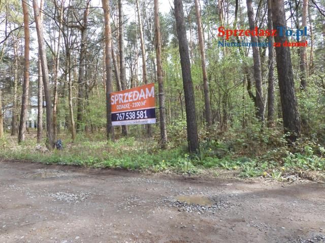✅działka budowlana 15 minut spacerem od Magdalenki