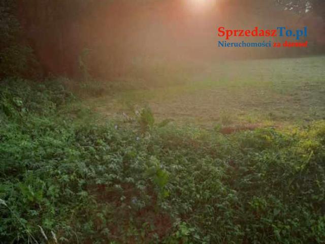 Sprzedaż