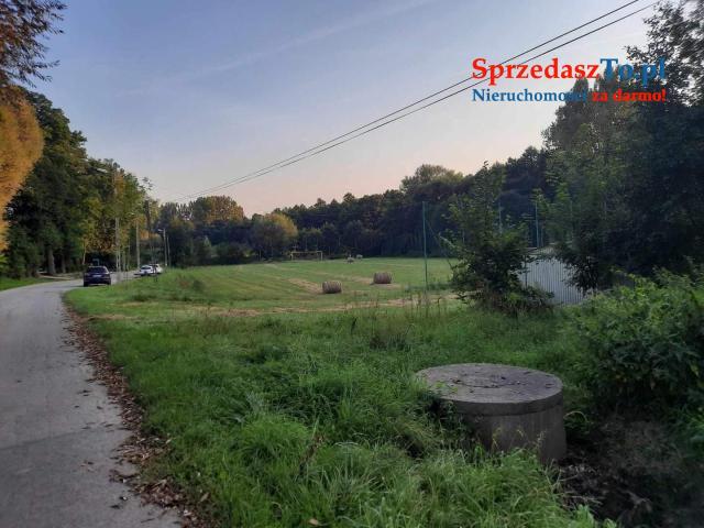 Sprzedaż