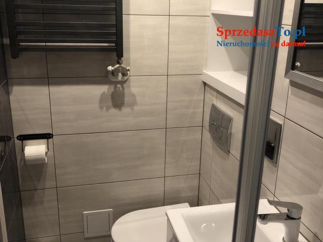 Kawalerka na wynajem w centrum - bezpośrednio
