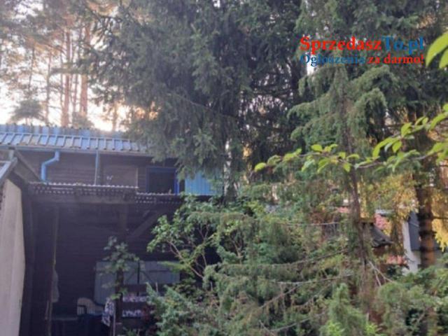 Sprzedam Piętrowy dom z dużą działką nad jeziorem Wdzydze na Kaszubach