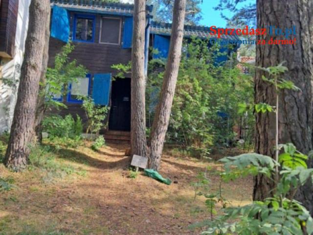 Sprzedam Piętrowy dom z dużą działką nad jeziorem Wdzydze na Kaszubach - 6