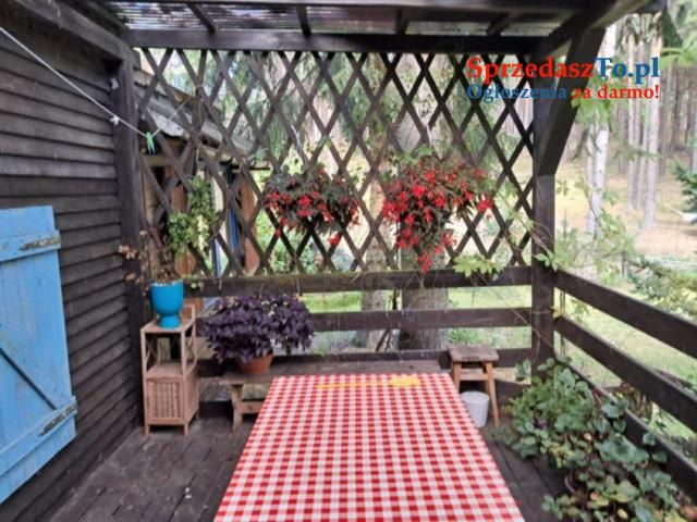 Sprzedam Piętrowy dom z dużą działką nad jeziorem Wdzydze na Kaszubach - 8