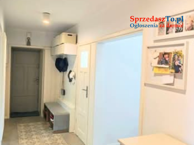 Piękne, loftowe mieszkanie w kamienicy. Z garażem i gruntem.