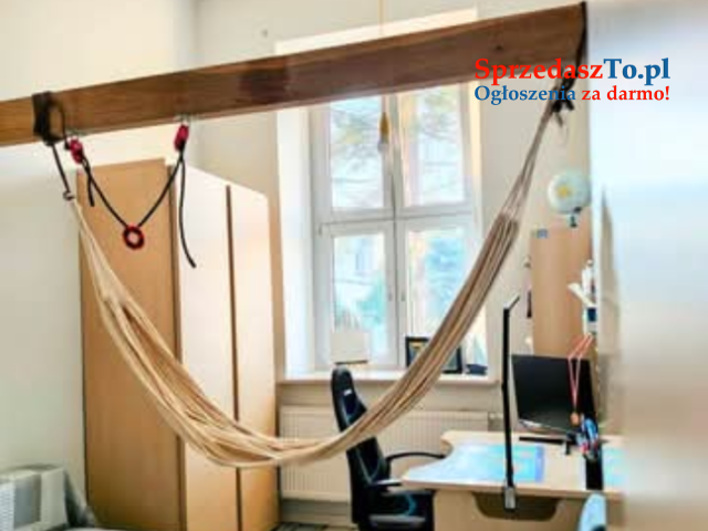 Piękne, loftowe mieszkanie w kamienicy. Z garażem i gruntem. - 6