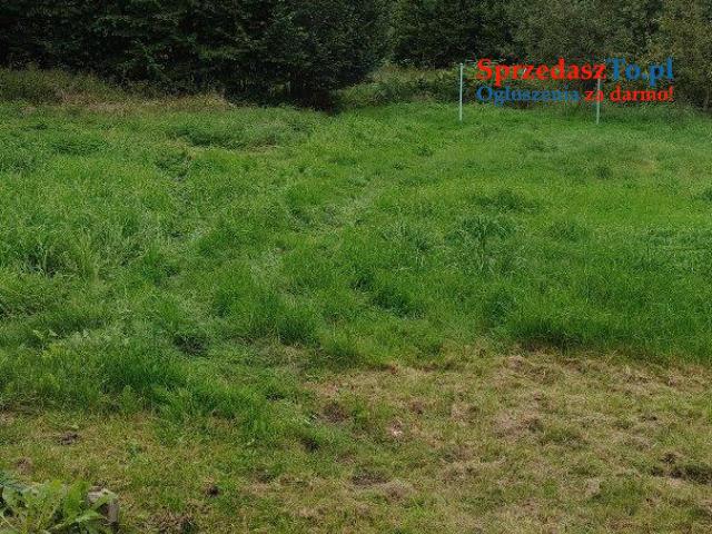 dom wolnostojący o pow.200 + duża działka