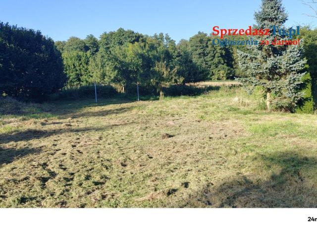 dom wolnostojący o pow.200 + duża działka