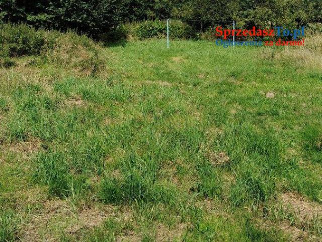 dom wolnostojący o pow.200 + duża działka - 15