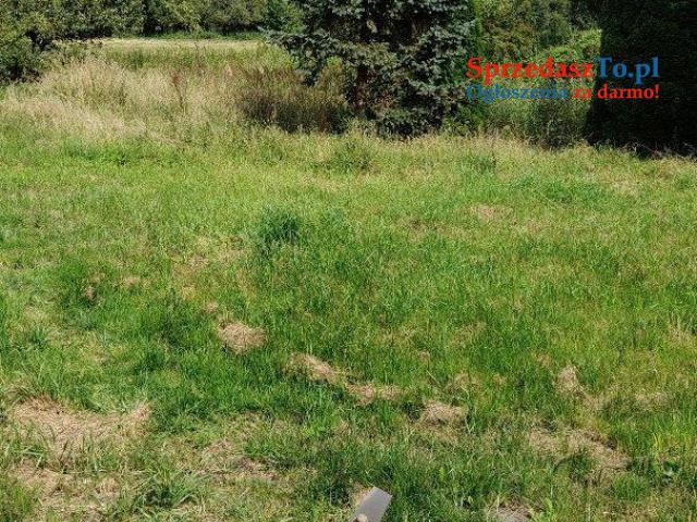 dom wolnostojący o pow.200 + duża działka - 16