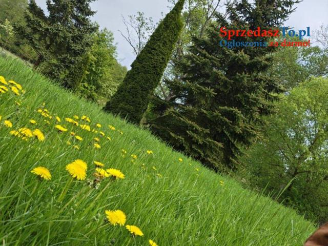 dom wolnostojący o pow.200 + duża działka - 22