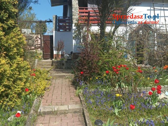 Działka w stowarzyszeniu