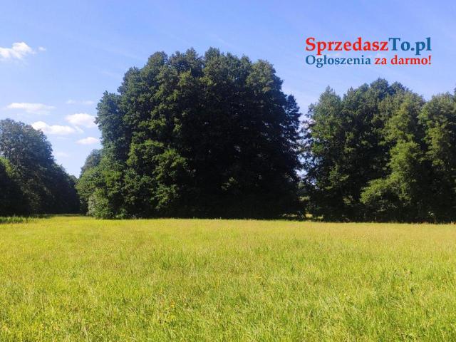 Działka w Chwalęcicach o powieszchni 87ar z możliwoscą budowy 5 domów