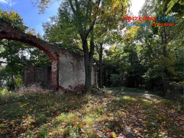 Działka budowlana usługowa 2178 mkw. przy lesie na końcu wsi - 7