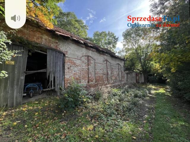 Działka budowlana usługowa 2178 mkw. przy lesie na końcu wsi - 8