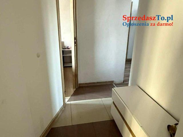 Dom energooszczędny 100m działka 40 ar - 10