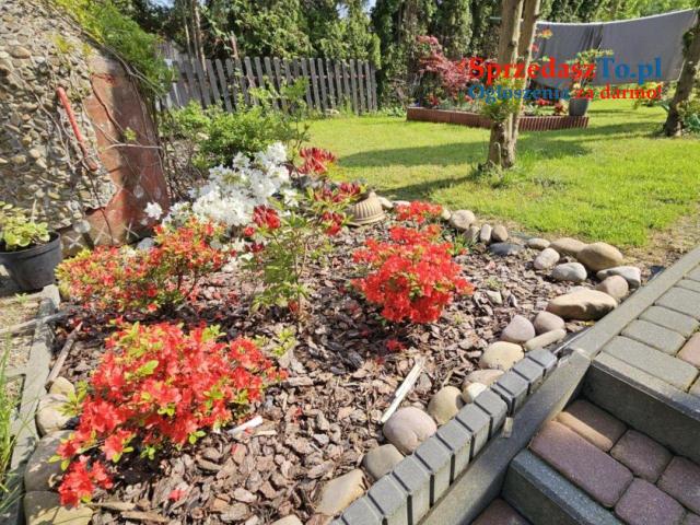 Stylowy dom z wyposażeniem w Zbylitowskiej Górze - 11