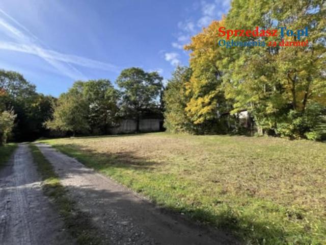 Działka budowlano usługowa przy lesie na końcu wsi