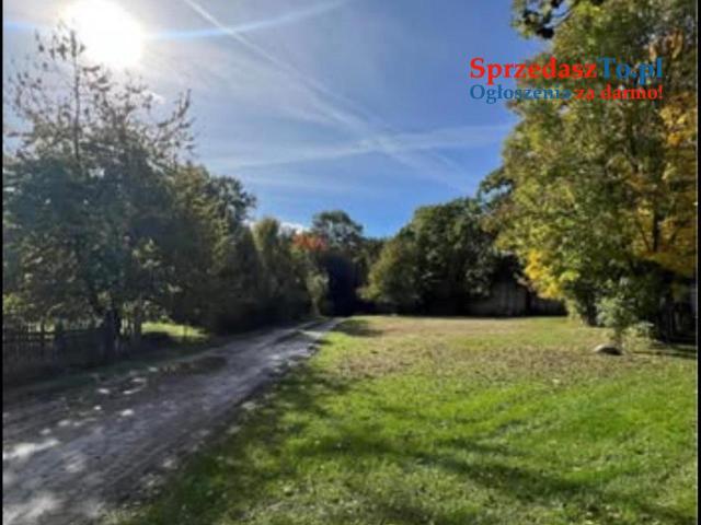 Działka budowlano usługowa przy lesie na końcu wsi