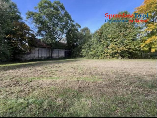 Działka budowlano usługowa przy lesie na końcu wsi