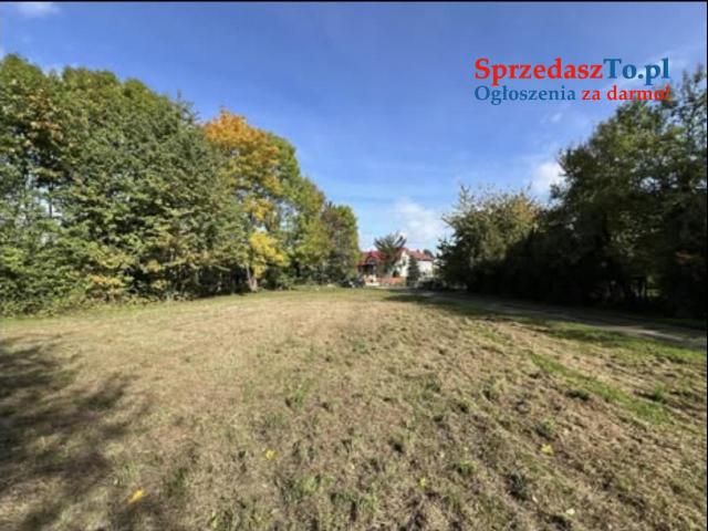 Działka budowlano usługowa przy lesie na końcu wsi - 6