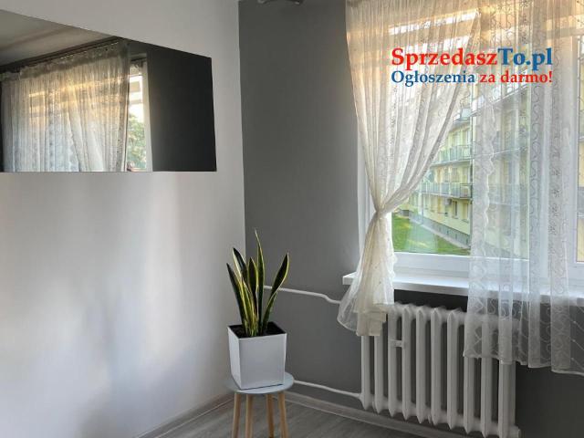 Sprzedam mieszkanie 33,34m2, 2 pokoje, kuchnia, łazienka, na 1 piętrze plus piwnica - 12