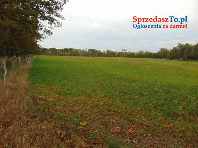 Działki usługowe na sprzedaż — Zielona Góra