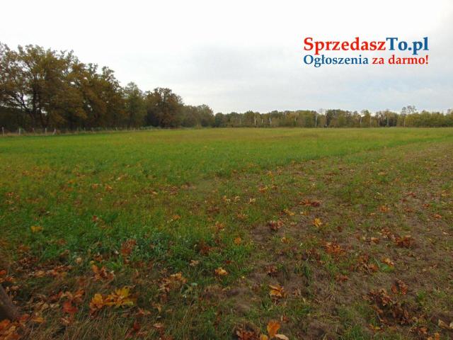 Działki usługowe na sprzedaż — Zielona Góra