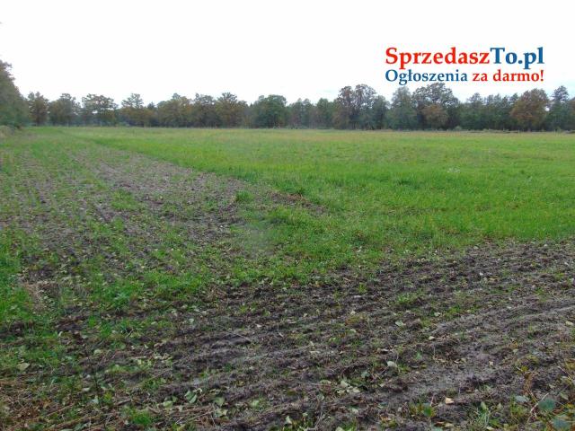 Działki usługowe na sprzedaż — Zielona Góra