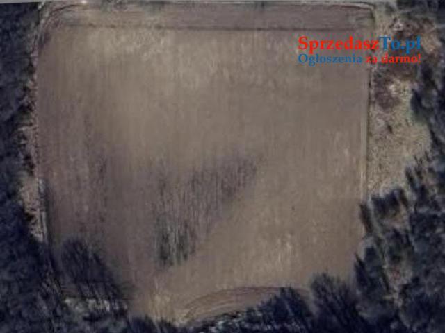 Na sprzedaż działka 2,79 ha — Zielona Góra
