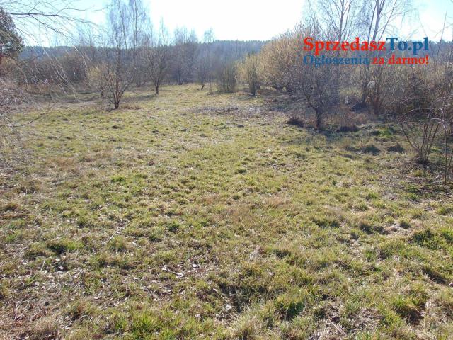 Na sprzedaż działka 4400 m2 — okolice Zielonej Góry