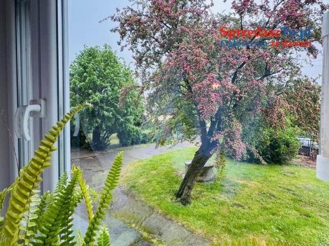 Brzezina, gm.Miękinia, 101m2, willowe z ogrodem, garażem i piwnicą