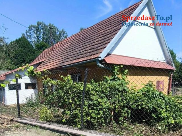 Dom w Samocicach na działce 18,49 ara