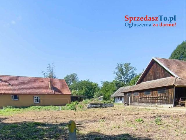 Dom w Samocicach na działce 18,49 ara - 8