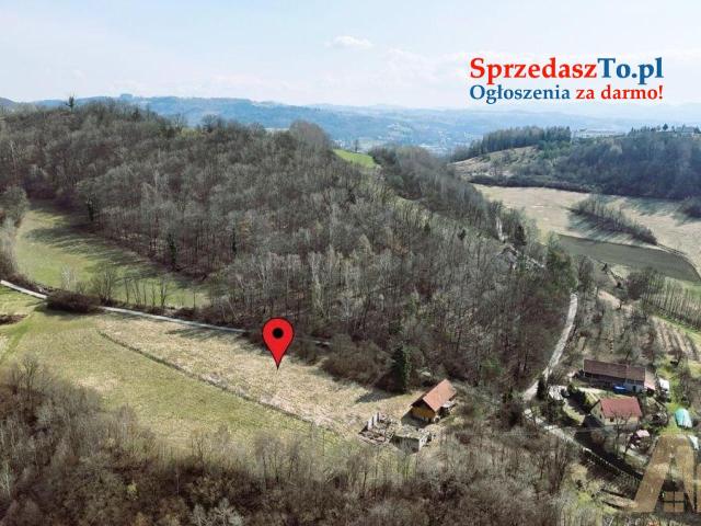 Działki z szerokim potencjałem zabudowy! - Kurów