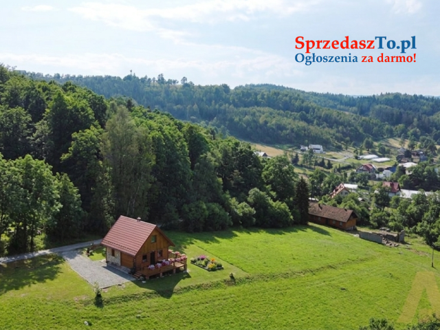 Działki z szerokim potencjałem zabudowy! - Kurów