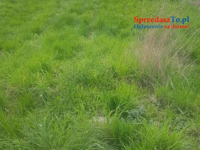 działka budowlana 1400 m2 szaflary 300 tysięcy