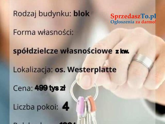Mieszkanie po generalnym remoncie z klimatyzacją - 10