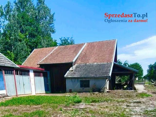 Dom w Samocicach na działce 18,49 ara