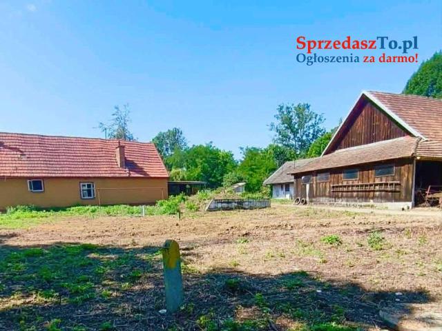 Dom w Samocicach na działce 18,49 ara