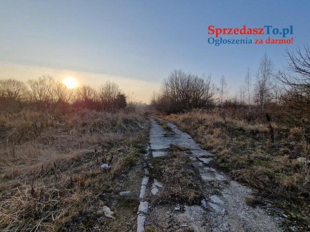 nieruchmość na sprzedaż