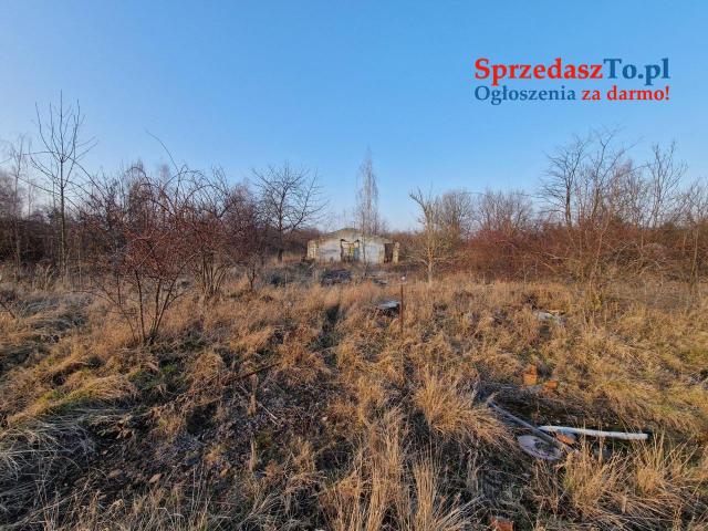 nieruchmość na sprzedaż