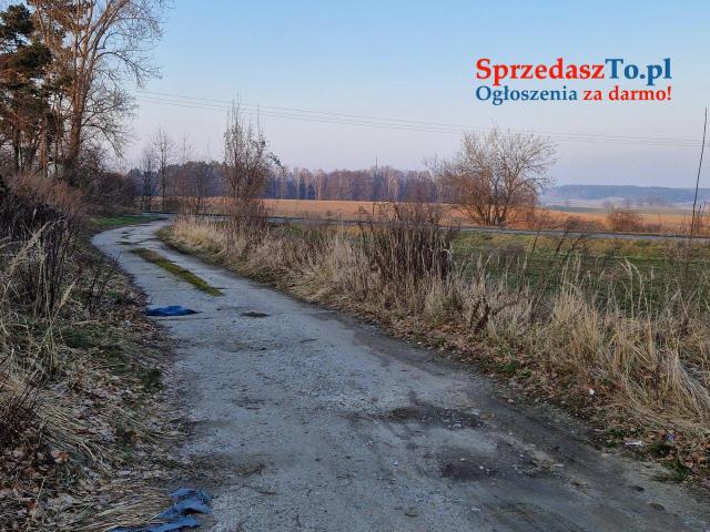nieruchmość na sprzedaż